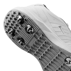Cricket Shoes White Grey
